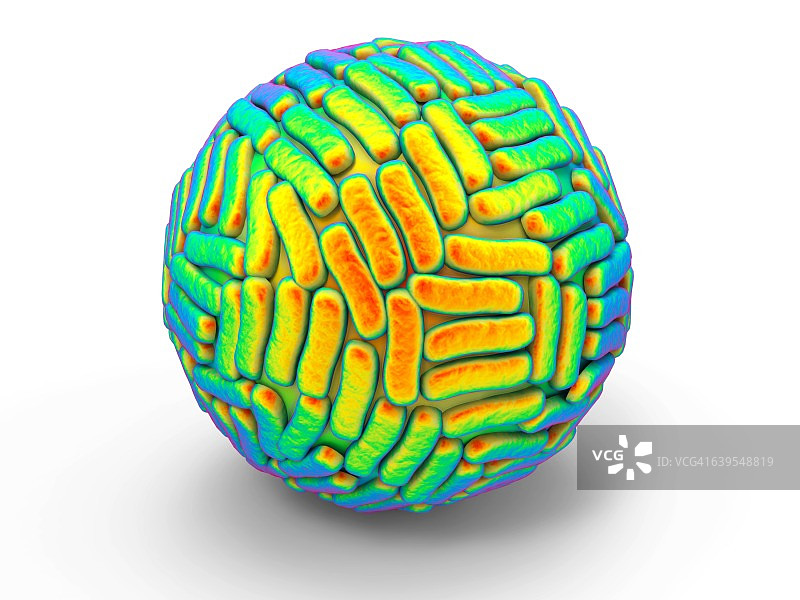 寨卡病毒，图示图片素材