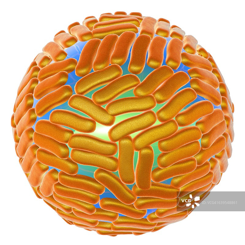 寨卡病毒，图示图片素材