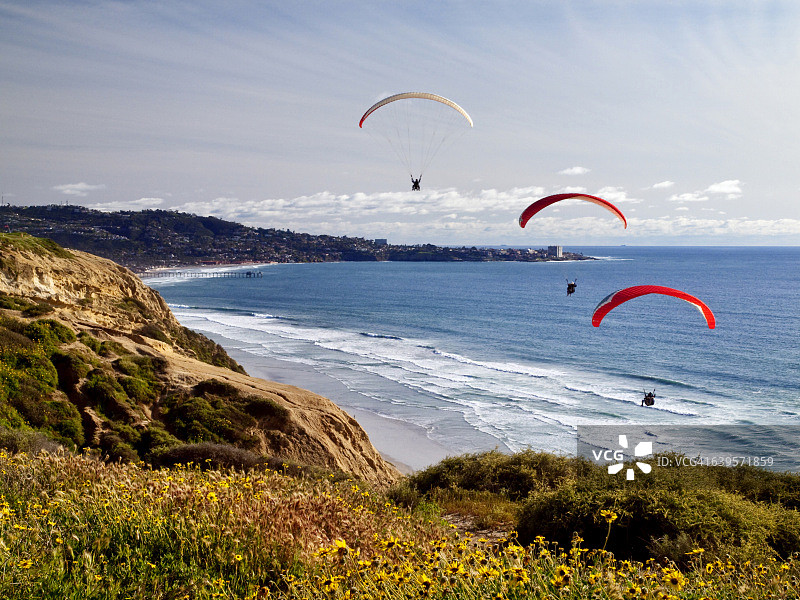加利福尼亚拉霍亚黑沙滩上的滑翔机图片素材