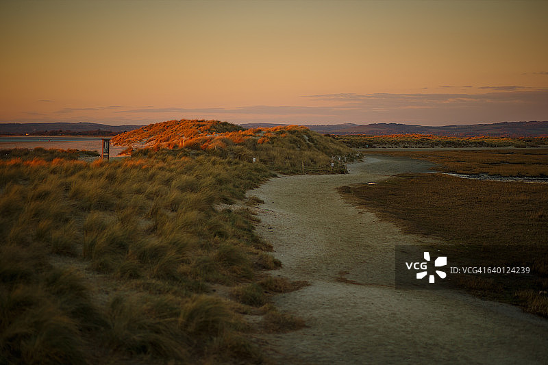 穿过西威特灵沙丘和芒草的小路图片素材