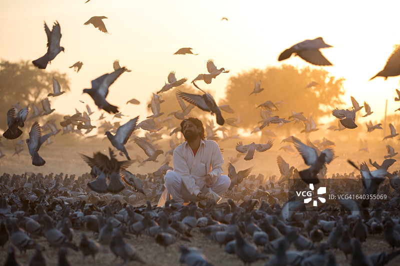 印度斋沙默尔，日落时分，圣人喂养鸽子并被鸽子包围图片素材