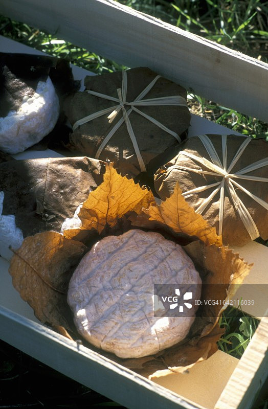 巴农羊奶酪图片素材