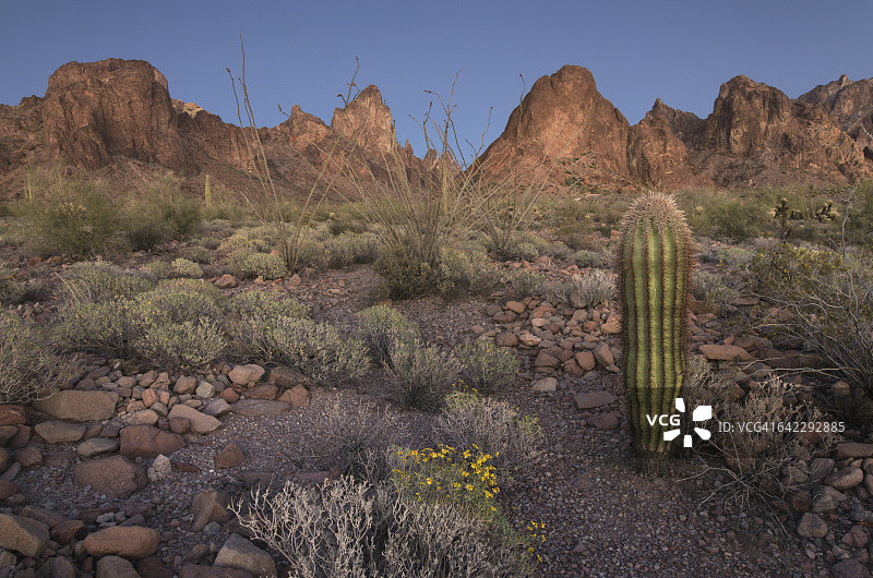 科法国家野生动物保护区，亚利桑那州图片素材