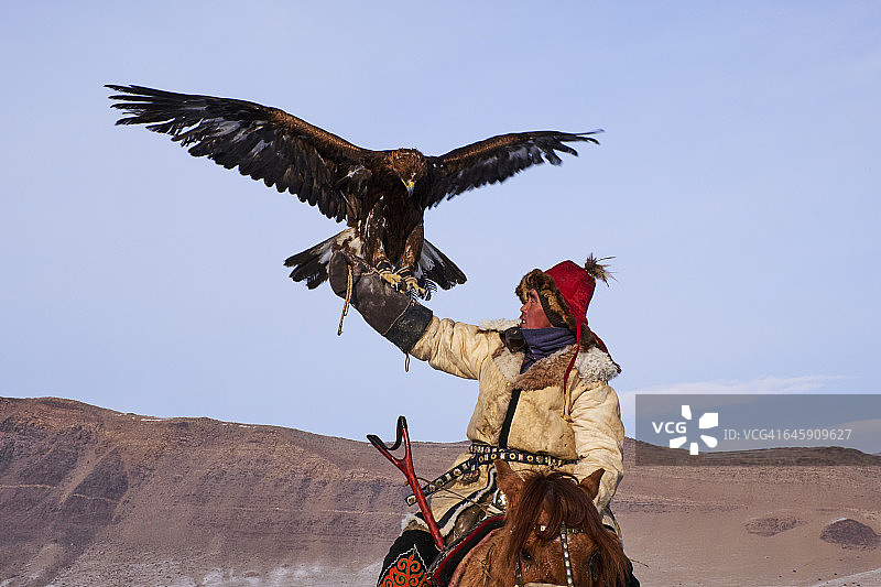 蒙古国巴彦乌列盖省猎鹰人图片素材