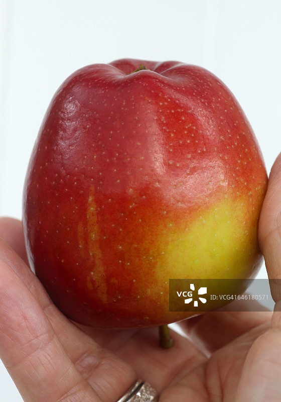 点心时间!图片素材