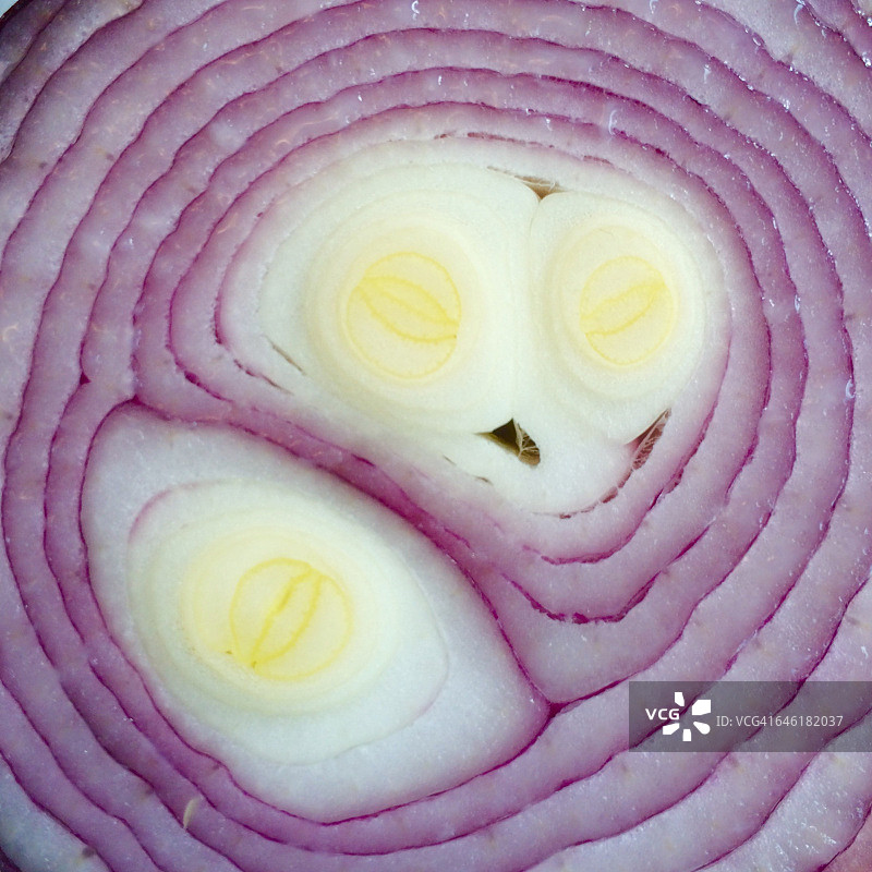 有趣的纹理图片素材