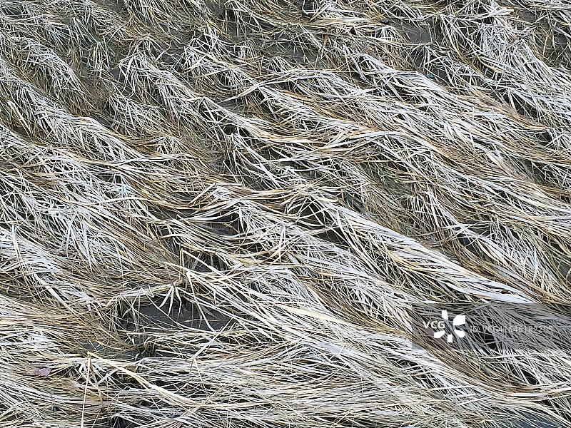 有趣的纹理图片素材