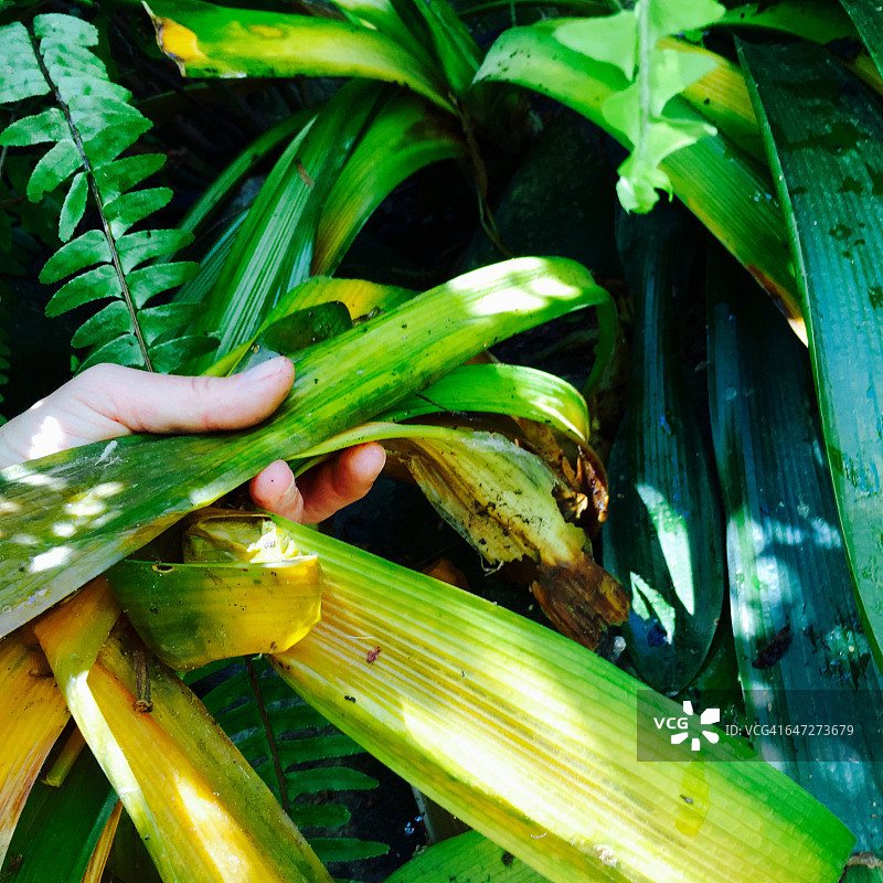 弄脏双手图片素材