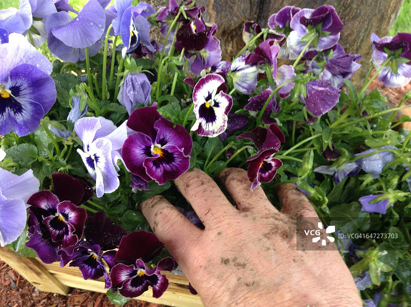 弄脏双手图片素材