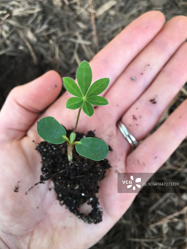 弄脏双手图片素材