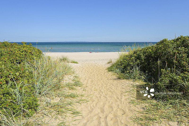 夏季海滩小路图片素材