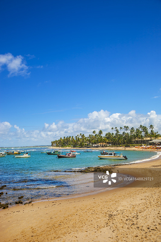 巴伊亚州的福特海滩图片素材