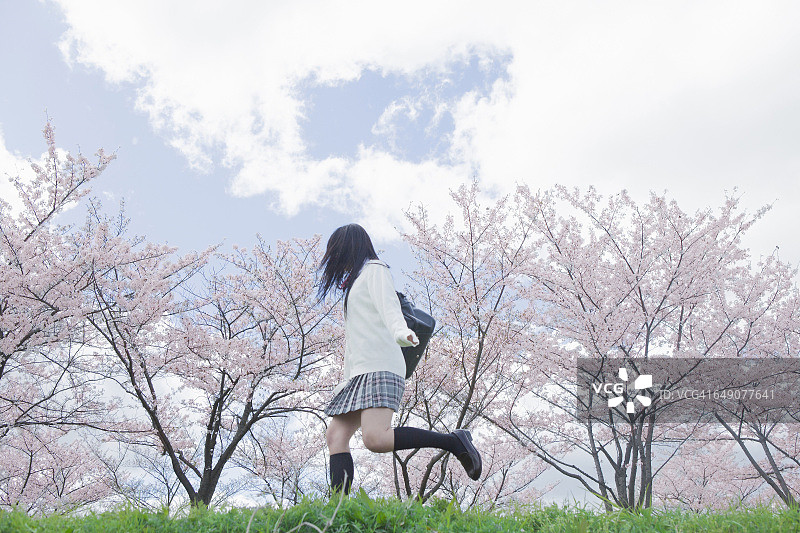奔跑在樱花树下的日本高中生图片素材