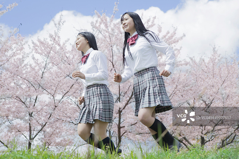 奔跑在樱花树下的日本高中生图片素材