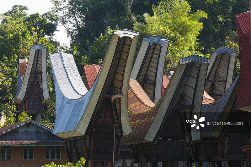 托拉雅房屋（Tongkonan）图片素材