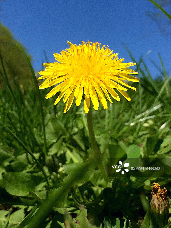 色彩故事-黄色图片素材