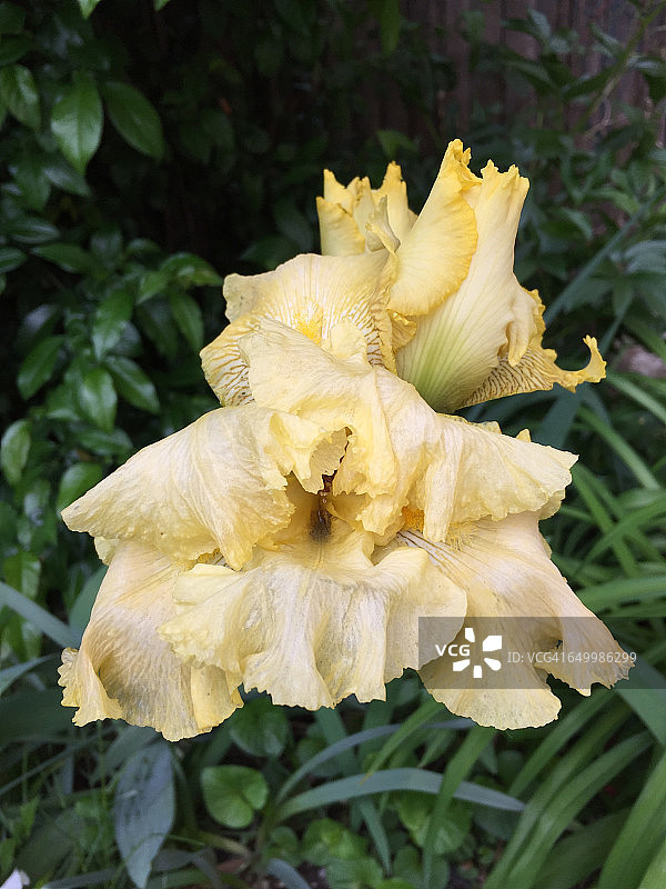 色彩故事-黄色图片素材