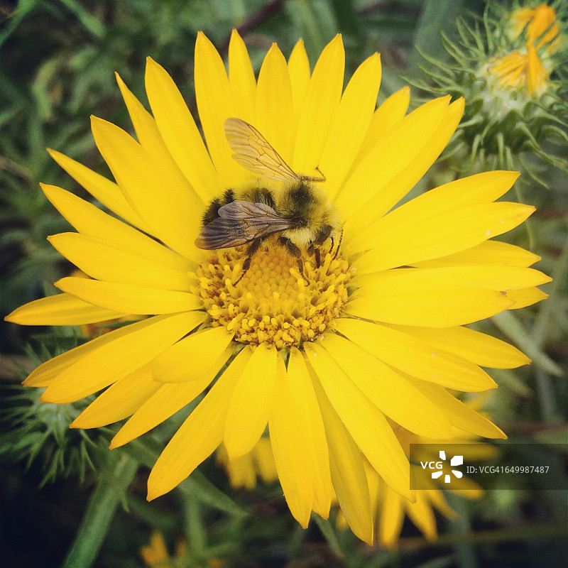 色彩故事-黄色图片素材