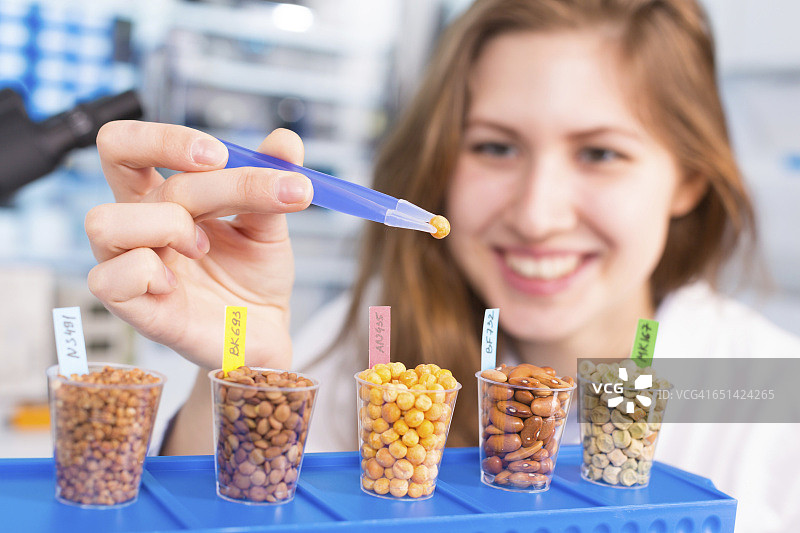 实验室技术员检测豆类图片素材