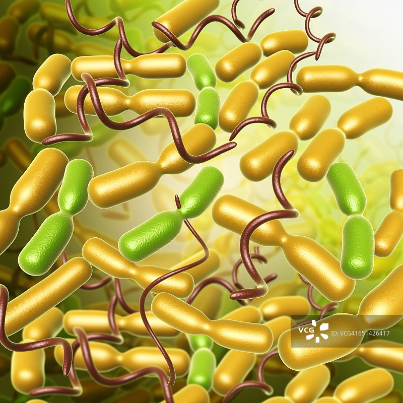鼠疫耶尔森菌细菌图图片素材