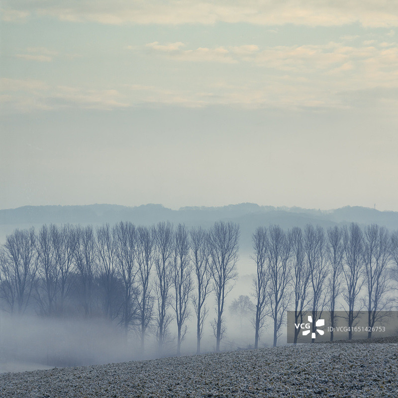 德国北莱茵-威斯特法伦州，田野上的晨雾图片素材