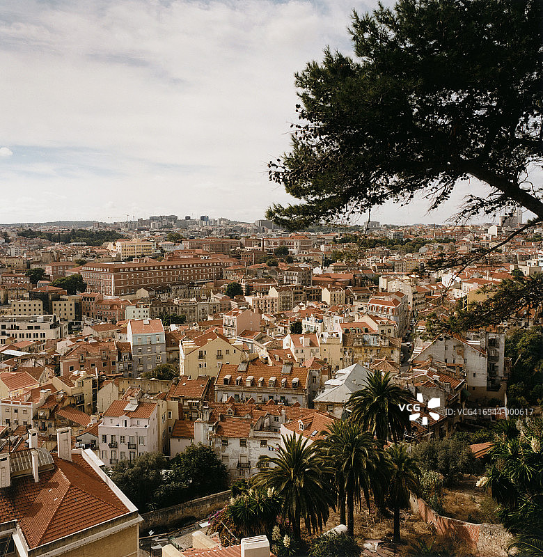 透过树木的里斯本图片素材