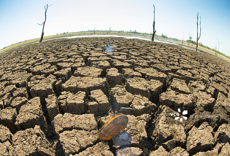 津巴布韦马图萨多纳国家公园卡里巴湖的枯树景观图片素材