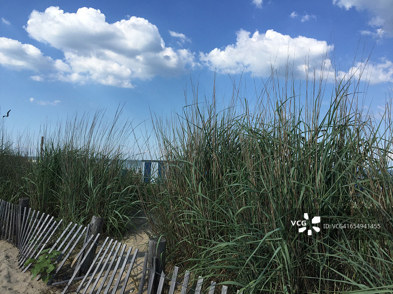 夏天海滩!图片素材