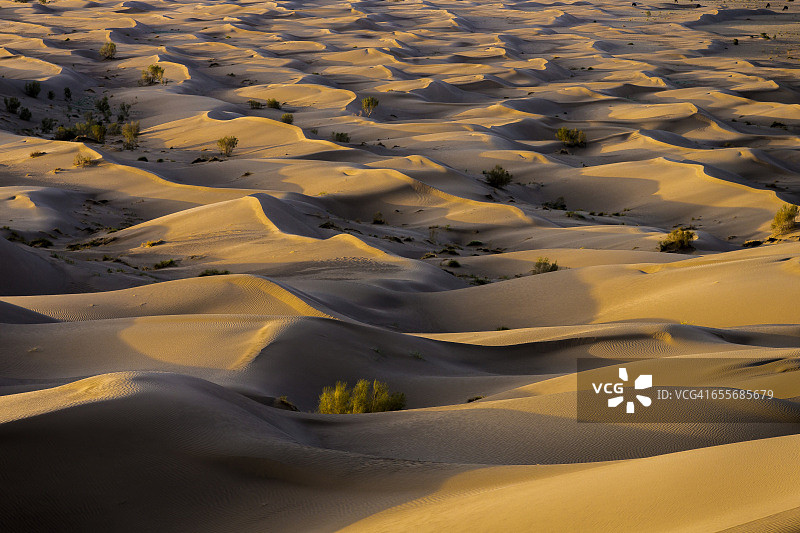 达什特卡维尔沙漠的沙丘图片素材