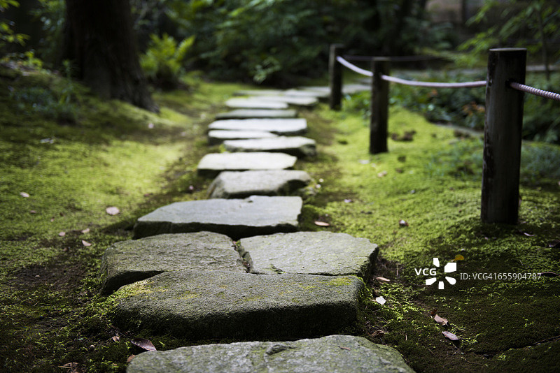 安静的日式花园中的垫脚石图片素材