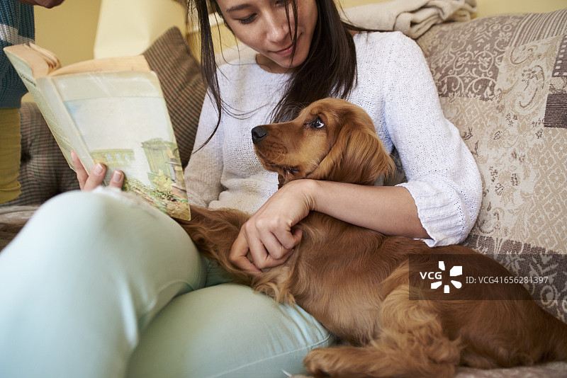 主人在沙发上读书时抚摸小狗图片素材
