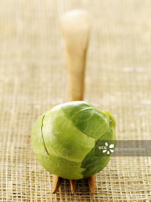 抱子甘蓝图片素材