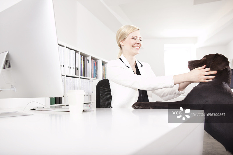 在办公室和拉布拉多寻回犬在一起的商务女人图片素材