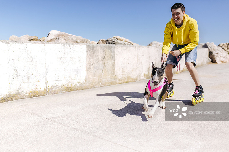 轮滑者和他的斗牛犬图片素材