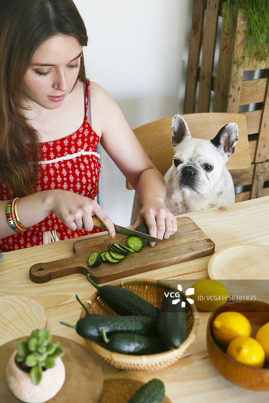 法国斗牛犬看着女人在桌子上切黄瓜图片素材