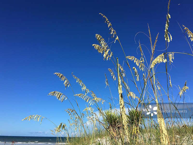最好的月!图片素材