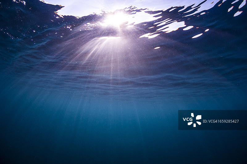 马尔代夫的水下世界图片素材