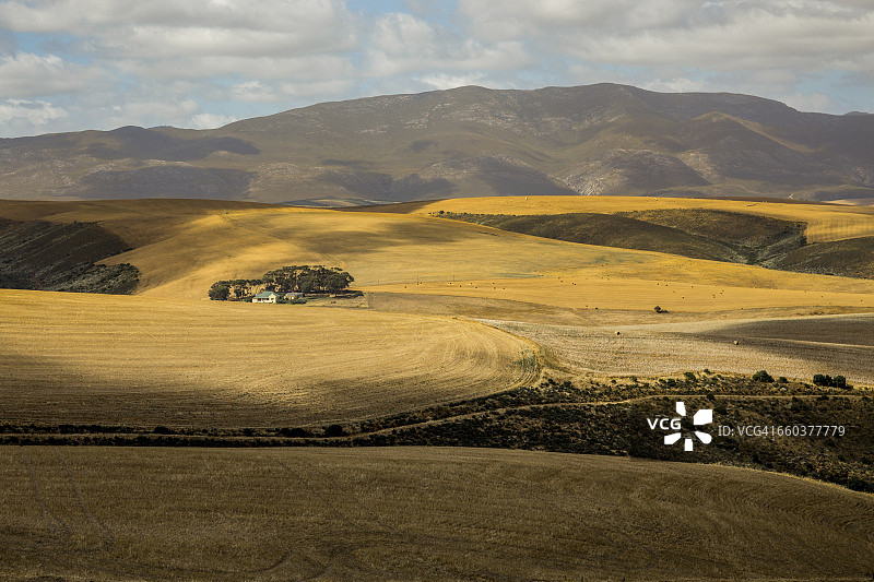 卡利登附近农业景观图片素材