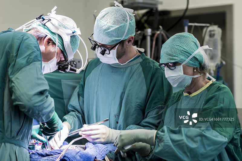 心脏瓣膜手术中的心脏外科医生和手术室护士图片素材