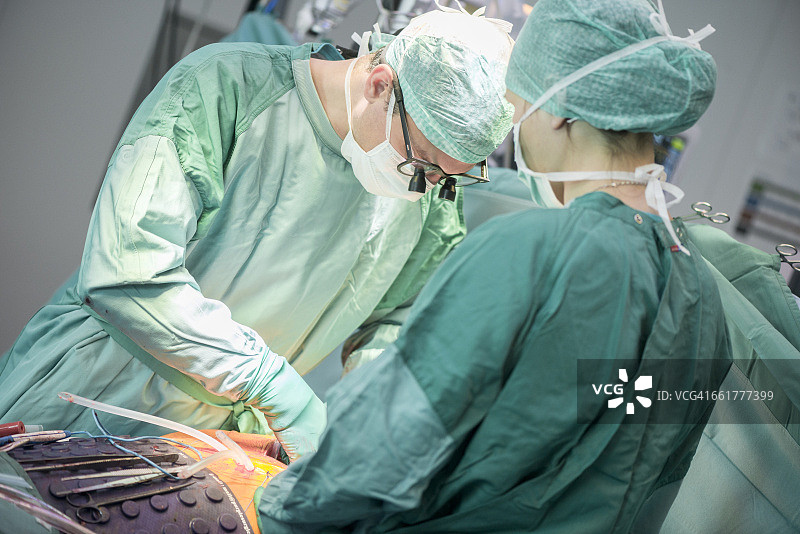 心脏外科医生进行心脏手术图片素材