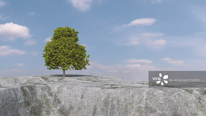 高地上的糖枫树2.5D渲染图片素材