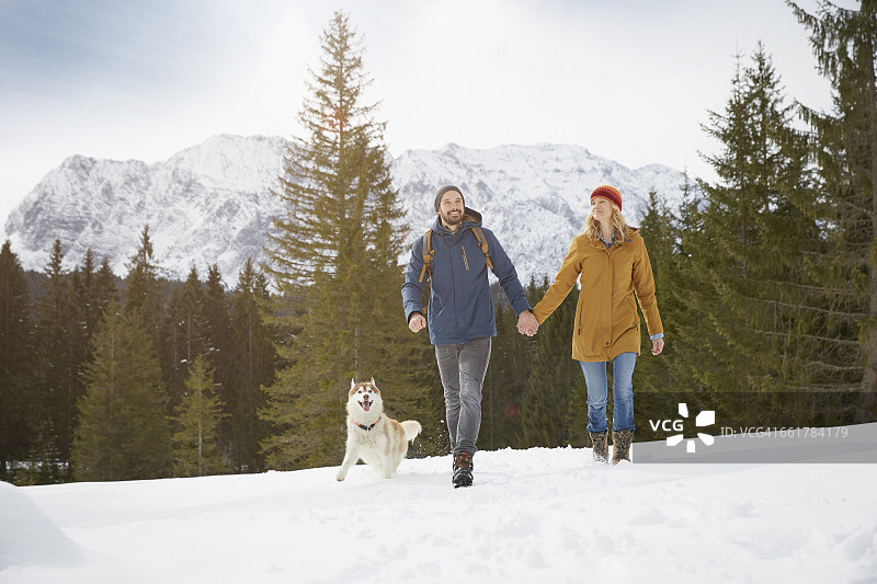 情侣在德国巴伐利亚州埃尔毛雪景中遛哈士奇图片素材