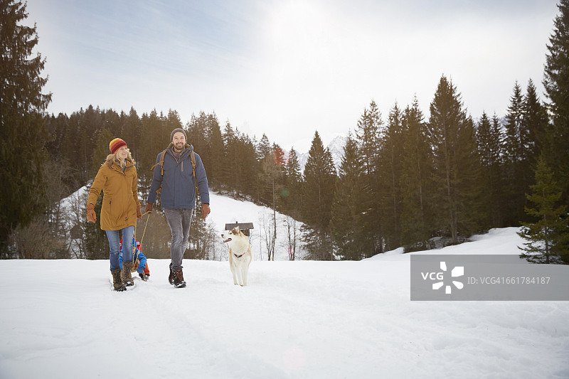 在德国巴伐利亚州埃尔毛，父母在雪地里拉着儿子滑雪图片素材