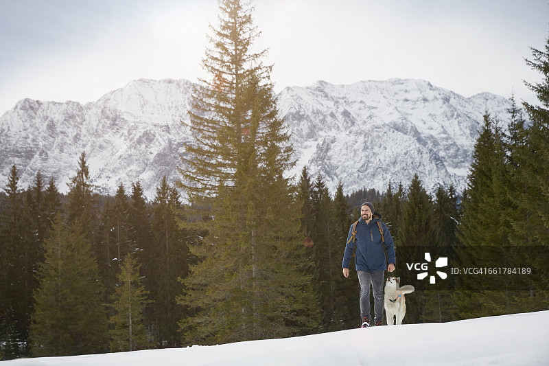 在德国巴伐利亚州雪地里与哈士奇犬上坡行走的年轻人图片素材