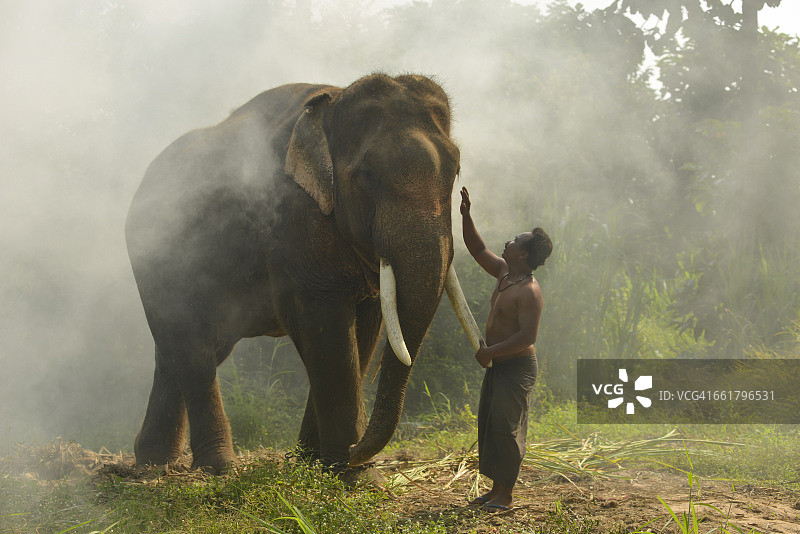泰国驯象人和他的大象图片素材