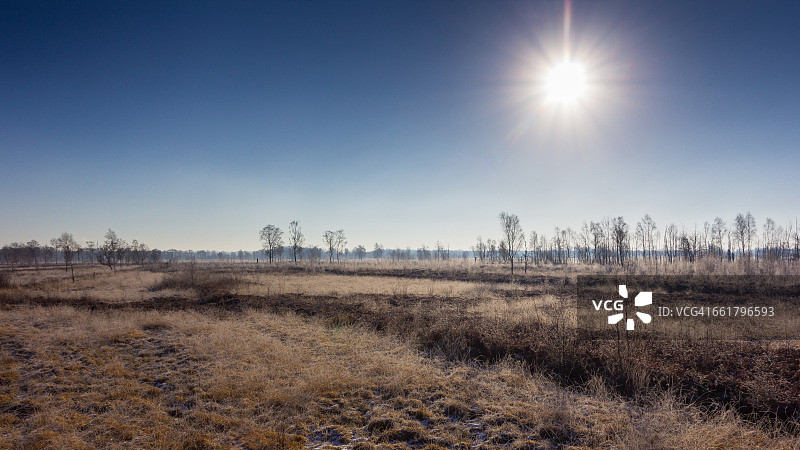 恩斯赫德乡村的冬日落日，荷兰上艾瑟尔省图片素材