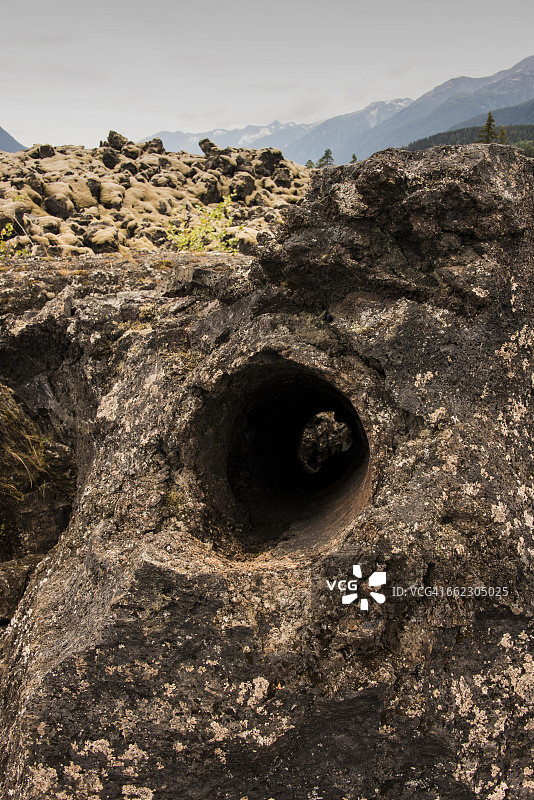 火山树模图片素材