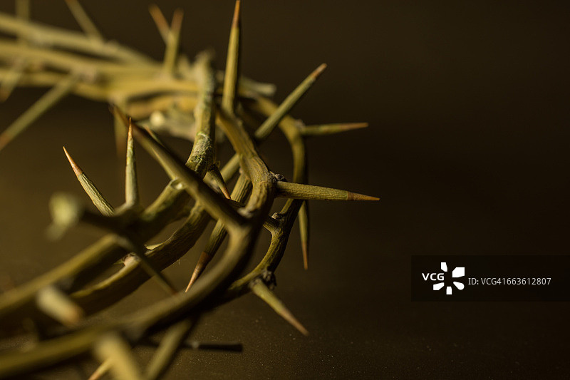 荆棘的冠冕图片素材
