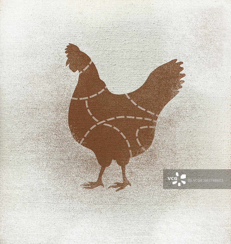 白色背景上的鸡肉分割图图片素材