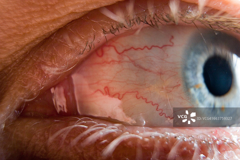 人眼细节图片素材